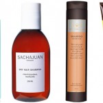 Bäst i test - Schampo mot torrt hår